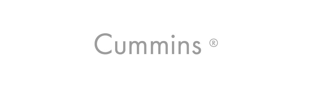 Cummins-brand-1.jpg