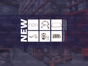 KMP Insider 145